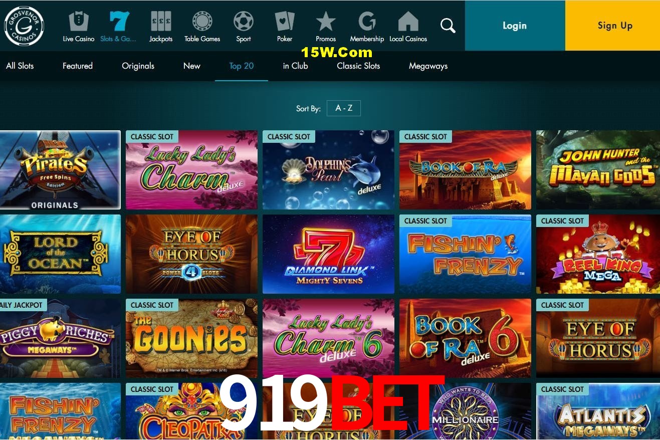 Player Reviews 919Bet